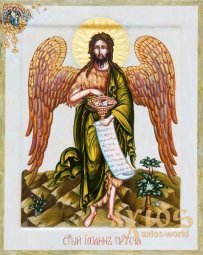 Icon of the Holy Prophet Ioann Krestitel 30x37,5sm - фото